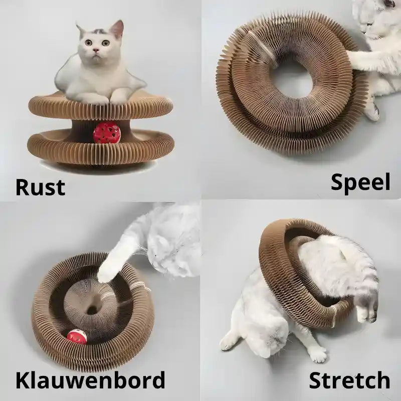 4-in-1 Katten Krabplank & Speelnest | Duurzaam Golfkarton