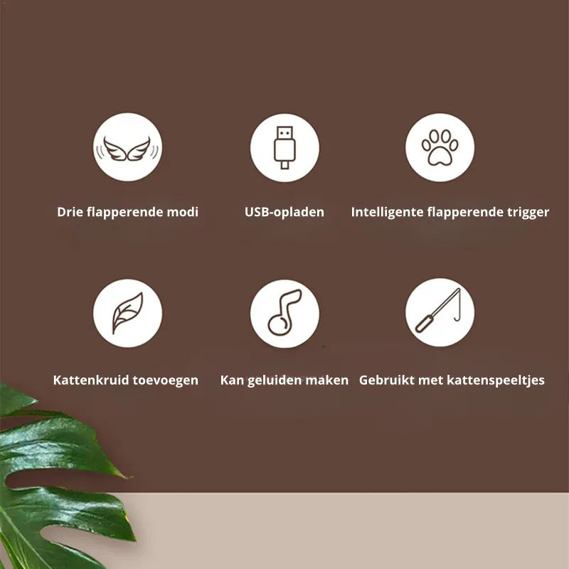 Interactieve Vogel met Kattenkruid – Oplaadbaar Kattenspeelgoed